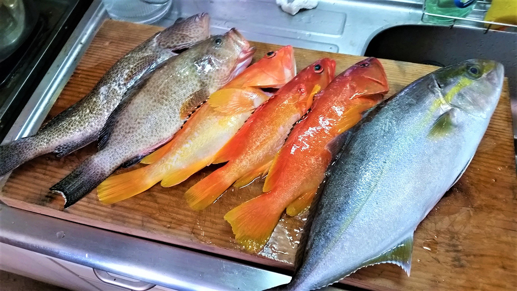 無料!魚捌き体験